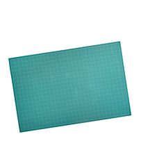 morepic-1