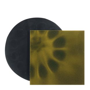 Flux-Detektor Folie zum Anzeigen von Magnetfeldern 75 x 75 mm