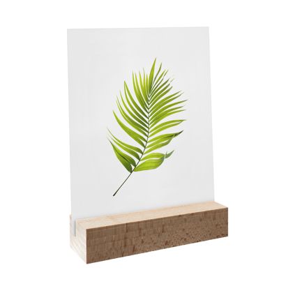 Porte-carte bois null | Hêtre | 100 mm | null