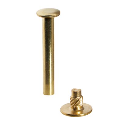 Buchschrauben mit Einpresskopf, vermessingt 40 mm