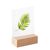 Porte-carte bois 60 mm | Hêtre  | insertion droite  | naturel 
