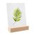 Porte-carte bois 100 mm | Hêtre  | insertion inclinée  | naturel 
