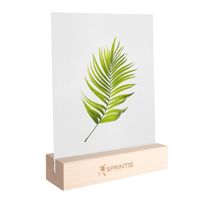 morepic-4