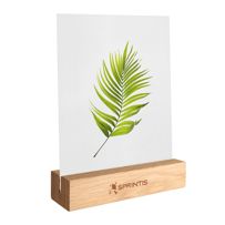 morepic-4